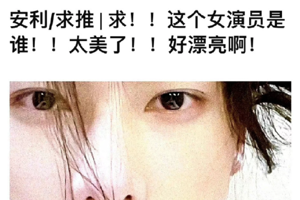 ??高清视频资源在线免费观看??极品?